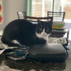 Meet your Posher, Ann